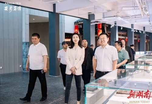 永定区工商联推动民企‘走出去，请进来’，助力经济与文化双腾飞